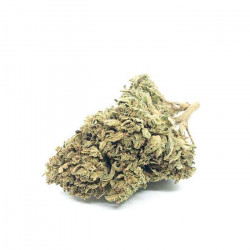 Fleur de CBD Mango Kush