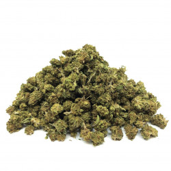 Fleur de CBD Small Bud