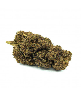 Fleur de CBD Tutti Frutti Premium