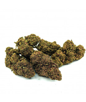 Fleur de CBD Tutti Frutti Premium