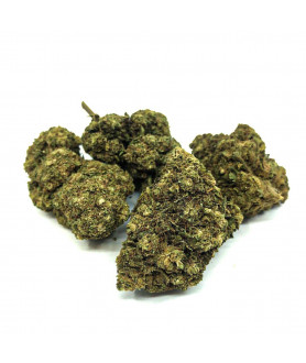 Fleur de CBD Gelato