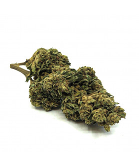 Fleur de CBD Sour Diesel