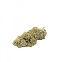 Fleur de CBD New York Cookies