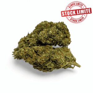 destockage-fleur-de-cbd-harlequin-indoor-quantite-limitee-4