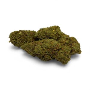 fleur-de-cbd-amnesia-2-0-greenhouse-3