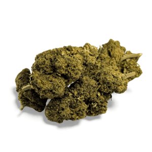 fleur-de-cbd-black-mamba-greenhouse-2