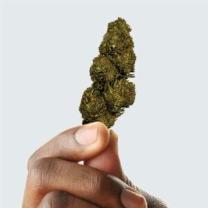 fleur-de-cbd-blueberry-2