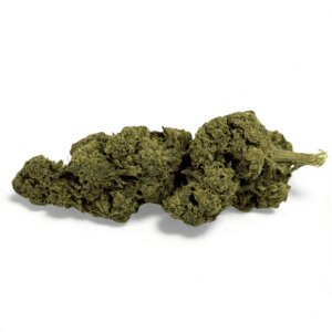 fleur-de-cbd-candy-kush-greenhouse-4