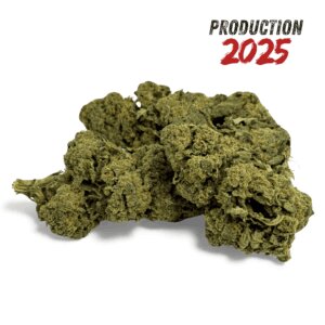 fleur-de-cbd-candy-kush-greenhouse-5