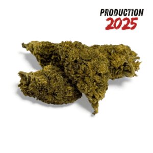 fleur-de-cbd-chem-crush-greenhouse-5