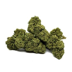 fleur-de-cbd-gorilla-glue-greenhouse-4