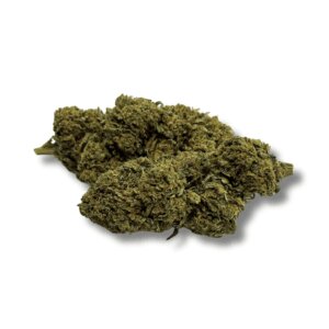 fleur-de-cbd-gorilla-greenhouse-3