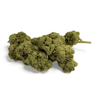 fleur-de-cbd-grape-gas-greenhouse-3