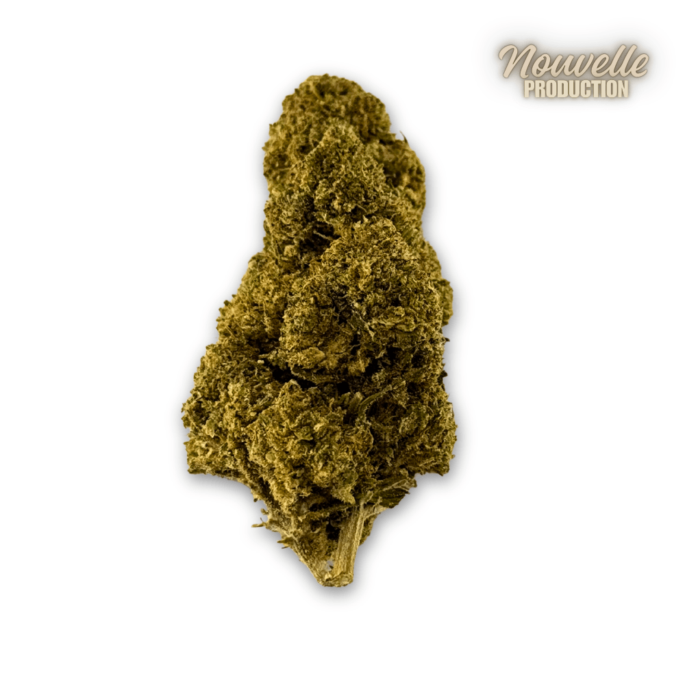 Fleur de CBD Green Crack Indoor Edition Limitée