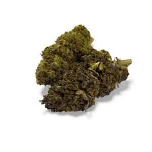 fleur-de-cbd-mandarine-haze-greenhouse-2