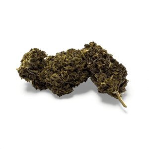 fleur-de-cbd-mandarine-haze-greenhouse