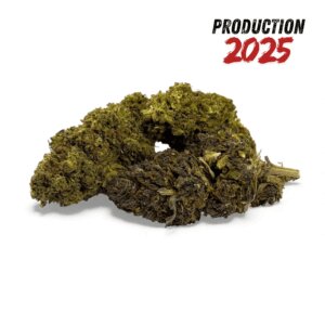 fleur-de-cbd-mandarine-haze-greenhouse-5