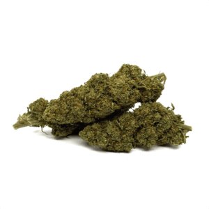 fleur-de-cbd-orange-bud-greenhouse-2