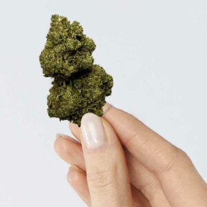 fleur-de-cbd-rainbow-kush-2