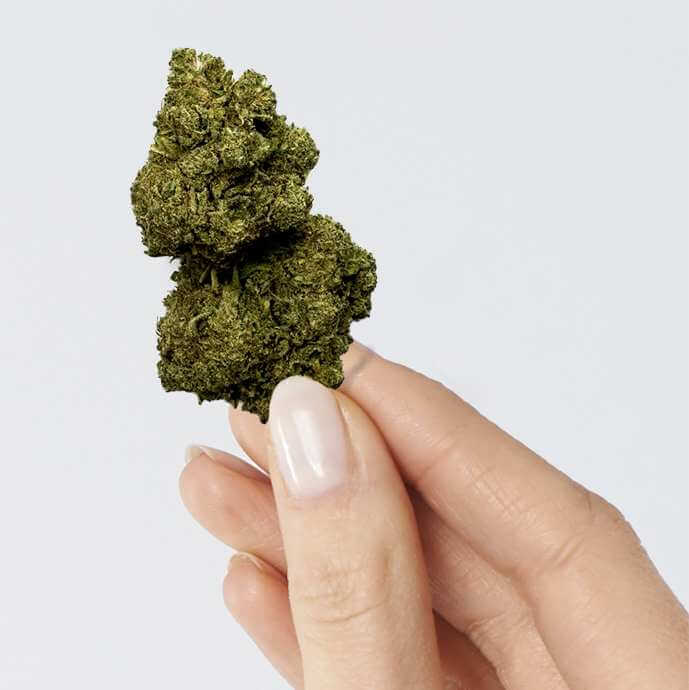 Second image of Fleur de CBD - RAINBOW KUSH