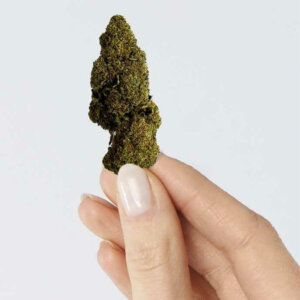 fleur-de-cbd-raspberry-haze