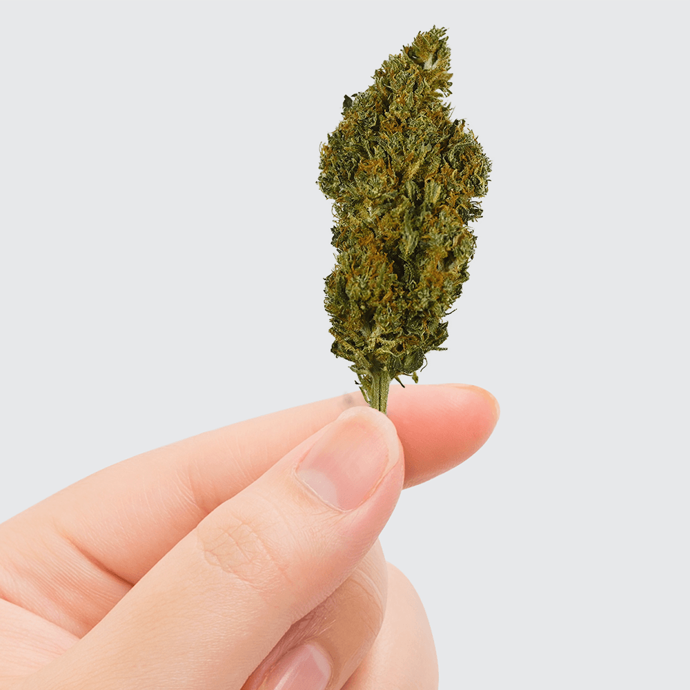 Second image of Fleur de CBD - SHERBET