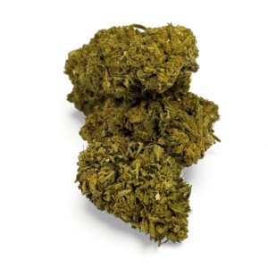 fleur-de-cbd-sour-lime-haze-greenhouse-2