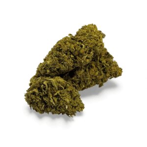 fleur-de-cbd-sour-lime-haze-greenhouse
