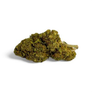 fleur-de-cbd-strawberry-haze-greenhouse-2