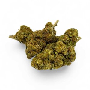 fleur-de-cbd-strawberry-haze-greenhouse