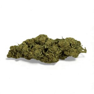 fleur-de-cbd-super-white-frost-greenhouse-2
