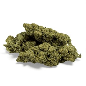 fleur-de-cbd-super-white-frost-greenhouse-3