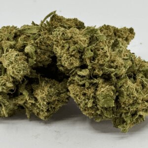 fleur-de-cbd-super-white-frost-greenhouse