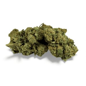 fleur-de-cbd-super-white-frost-greenhouse-4