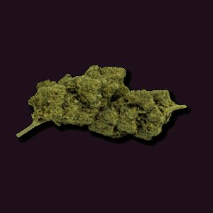 fleur-de-cbd-sweet-cheese-indoor