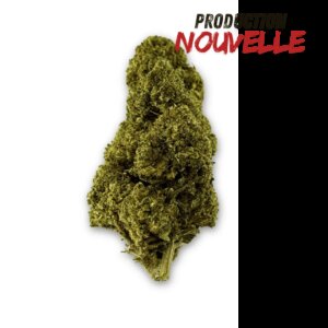Fleur de CBD Green Crack Indoor Edition Limitée