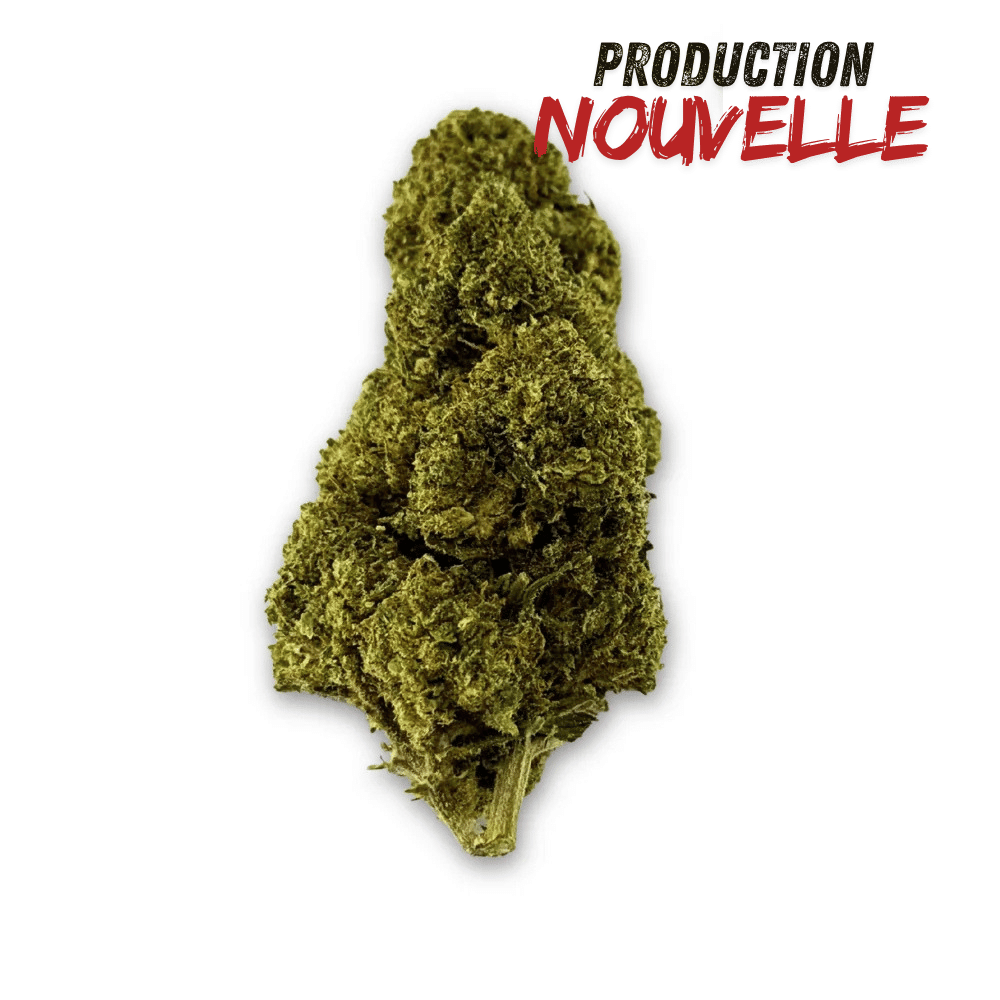 Fleur de CBD Green Crack Indoor Edition Limitée