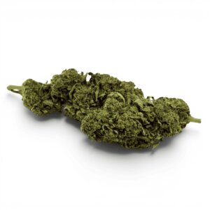 Fleur de CBD Super Skunk Indoor