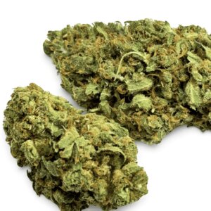 fleur-de-cbd-mango-kush-indoor-2