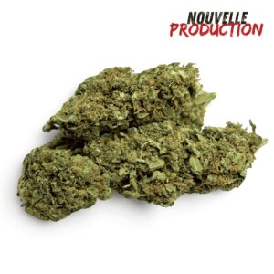 fleur-de-cbd-mango-kush-indoor-5