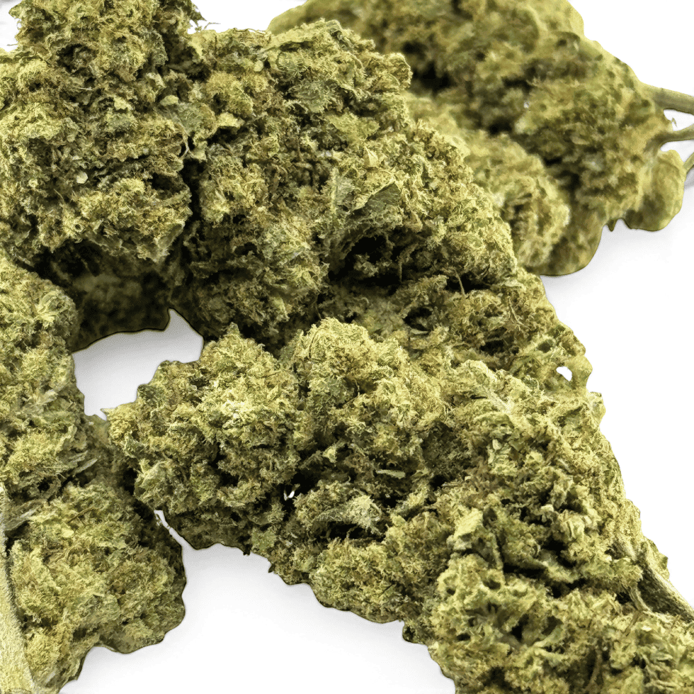 Second image of Fleur de CBD Great White Shark Greenhouse