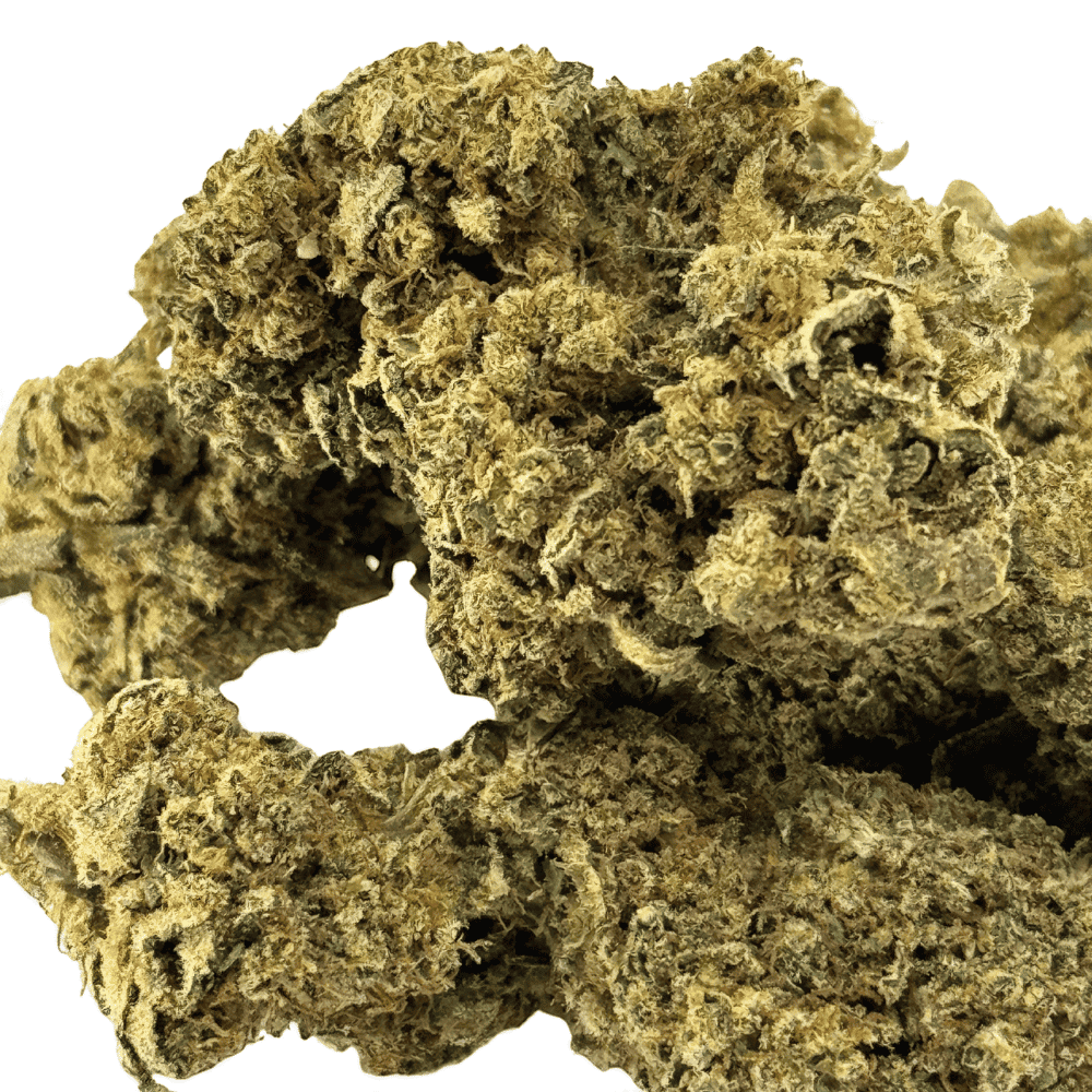 Second image of Fleur de CBD Lemon Pop Indoor