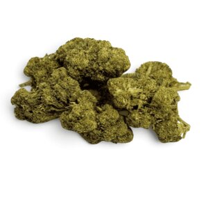 fleur-de-cbd-orange-bud-greenhouse-3