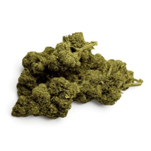 fleur-de-cbd-orange-bud-greenhouse-4